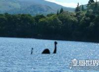 威尼斯水怪之谜真相，湖面泛起巨大的浪花(推测可能是巨型鲶鱼)