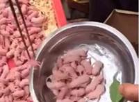 禁菜三吱儿的食用步骤分解，生吃活老鼠(胆小勿试)