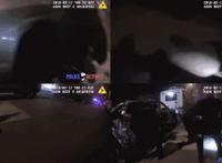 美国7名警察开65枪一枪未中，这枪法站着不动都打不着