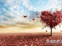 网络热词男票流行，男朋友为啥叫男票（源于台湾发音）