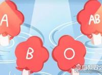 4个血型哪个血型最好，普遍认为被称为贵族血的AB血型最好
