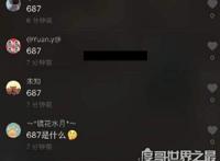 抖音687什么意思，是了不起或者撩不起的意思(谐音)
