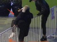 王源翻栏杆被拍，作出道歉回应(真相：被狗仔逼入死胡同)