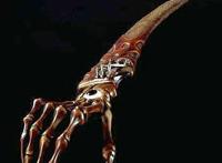 世界上最诡异的十把刀，鬼手刀用家人骨头制作(得之必疯)