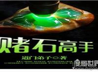 赌石类小说排行榜，盘点十本超热门的赌石鉴宝类小说