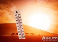印度高温百人死亡，最高温高达50℃(柏油马路都被融化)