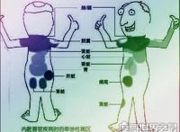 身体各个器官疼痛位置图片，切记不可＂自诊＂(仅做为参考)