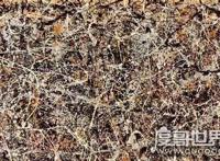 世界上最贵的画排行榜，杰克森·波洛克竟高达1.4亿美元