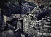 1987陕西夜狸猫事件回顾，真相至今无人知晓(疑是谣言)