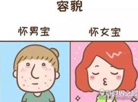 医生说怀男孩的特点，6条如果中3条以上应该就可确定了