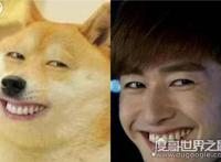 PS张瀚的眼睛图片，看了之后让人浑身不舒服(密集恐惧症慎入)