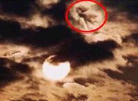 世界上有人拍到麒麟，大多数人都没见过麒麟的样子（寓意祥瑞）