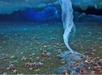 恐怖的南极死亡冰柱，所过之处寸草不生(视频详解)