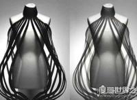 世界上最奇特的裙子，透明裙子(根据心跳随意变幻裙子透明度)