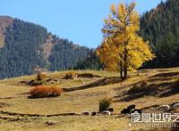 河西走廊位于什么以西，乌鞘岭以西(乌鞘岭是河西走廊的分界线)