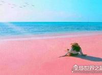 世界上最性感的海滩，粉色沙滩(一个让你少女心炸裂的地方)