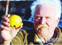 世界上最奇特的怪雨，英国苹果雨(天空下苹果引众人争抢)