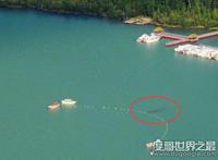 新疆喀纳斯湖水怪真相之谜，乃长达10米的巨型哲罗鲑