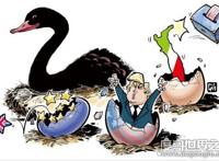 黑天鹅事件是什么意思，一切不寻常/罕见/突发事件的统称