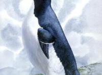 世界十大灭绝动物，原来北极也曾有企鹅（长知识了）