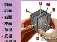 魔方教程公式口诀七步，新手入门手把手魔方教学(一看就会)