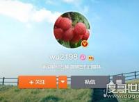 微博女股神wu2198本人照片曝光，长相漂亮的成功女性(炒股高手)