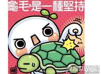 龟毛是什么意思，指一个人在生活中过度重视细节(近似“事儿妈”)