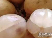世界十大稀奇水果，名称让人陌生（少见的水果）