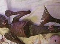 世界上有美人鱼吗，并不是传说(世界上是真有美人鱼存在)