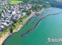 世界上最大的海蛇，巨型大海蛇(长18米/未被证实的生物)