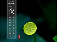 2019年三伏天从什么时候开始，7月12日至8月20日(共40天)