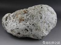 龙涎香是什么东西，是抹香鲸的便便(也是香精的重要组成部分)