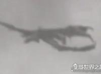 世界上最后一只龙，英国有人在天空拍到一条翼龙(附视频)
