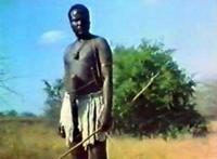 世界上阴茎最大最长的民族，非洲象人族(阴茎长56cm)