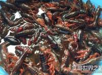 小龙虾怎么清洗，教你几招怎样轻松洗干净小龙虾