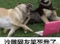 沙雕是什么意思？网络用语骂人的话(沙雕=傻屌)