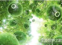 最古老的还活着的生物盘点，现今地球生物界中的10大活化石