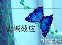 蝴蝶效应是什么意思，小的变化引发连锁反应(可应用于各种学科)
