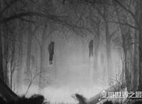 日本自杀森林，青木原树海一年搜出近百具尸体(死法多样化)