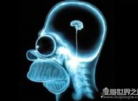 林家宅37号事件，嫌疑人叶先国没有脑组织(震惊中国的灵异事件)