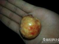 治百病的天价鸡宝是什么东西，病变的卵细胞没有药用价值