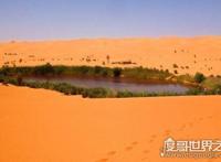 世界上最大的沙漠面积排名，世界十大沙漠名单及介绍