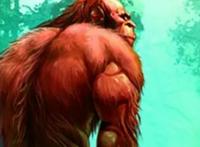 世界十大未知生物，神秘的未知世界（猎奇）