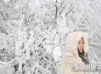 2030年将迎来千年极寒，地球将面临新时代冰河世纪(纯属扯淡)