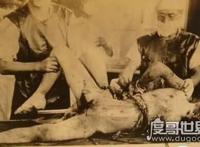 马路大是日本731部队的试验者，被各种生化武器折磨至死