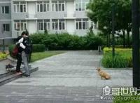 虐死人的单身狗图片精选，一万点暴击在向你袭来(图片)