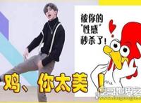 鸡你太美是什么梗？竟出至于蔡徐坤之手(遭全网嘲讽)