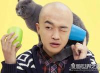 包贝尔小品被毙，Angelababy改演唱歌曲顺利出现在观众面前