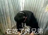 奥力给快手老八第二次吃粑粑原视频真的吃屎了吗？老八用鞭炮炸睾丸的视频在线看链接