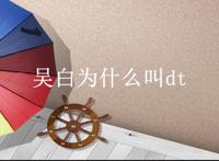 吴白为什么叫dt